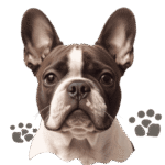 site logo for dogfrenchie